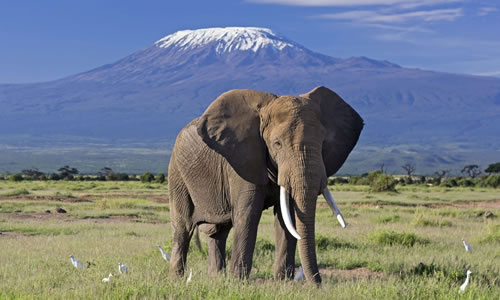 amboseli national park