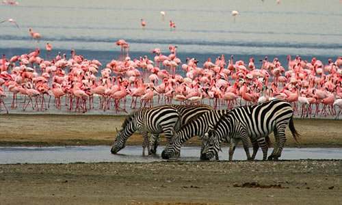 lake manyara