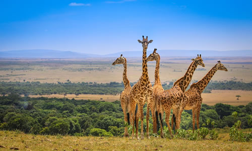 maasai mara national park