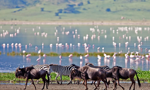 ngorongoro crater national park